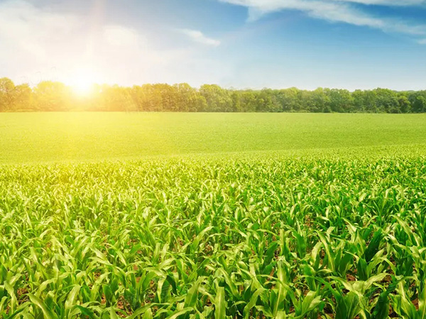 ũ�������